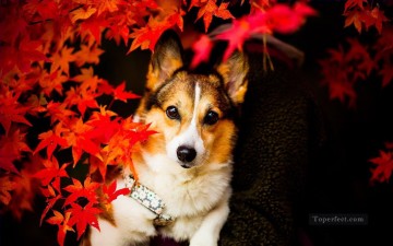 リアルな写真から Painting - 赤いカエデの葉の後ろの犬 写真からアートへ